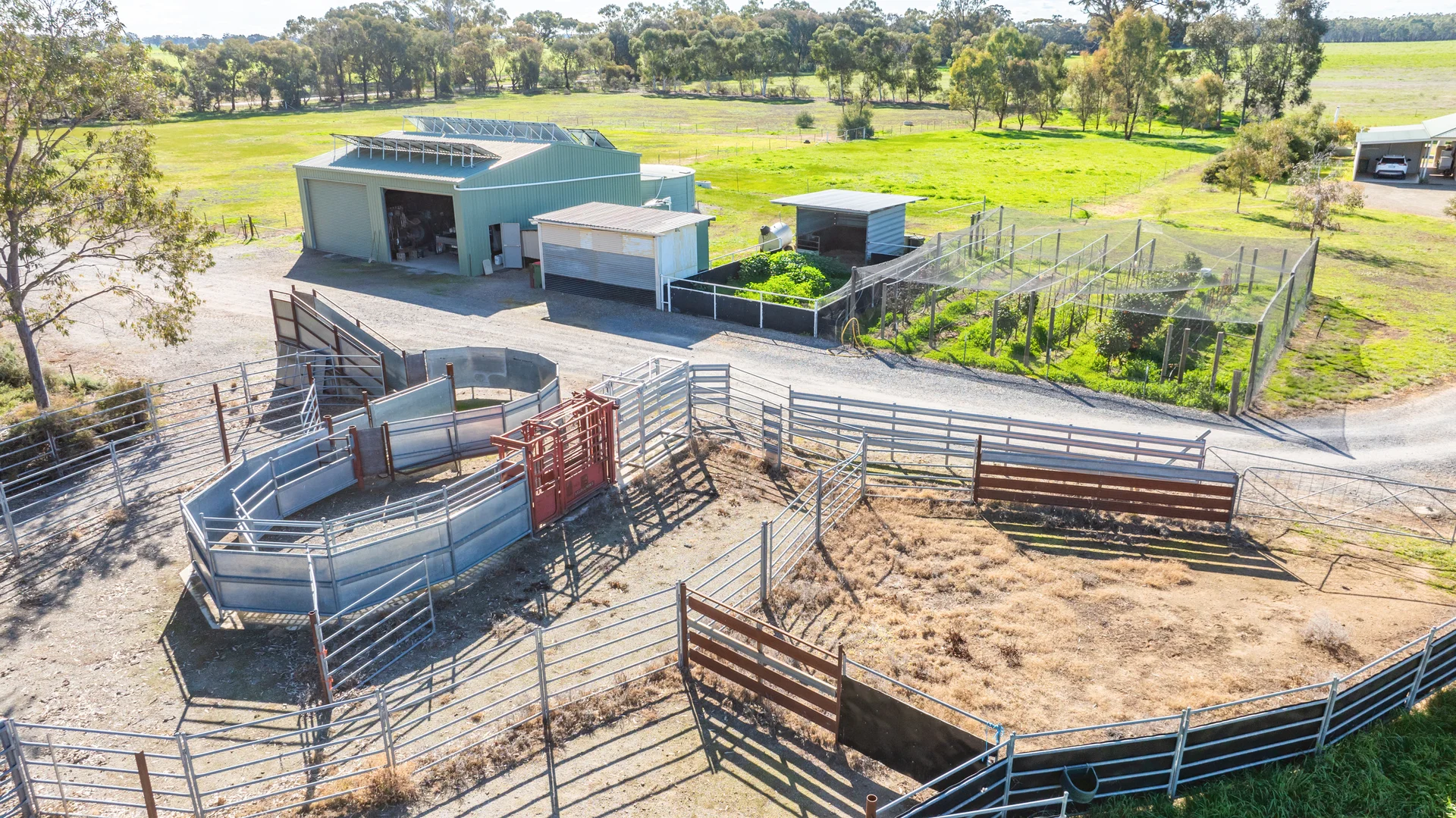 Additional image 5 of 290 Savernake Road, Mulwala NSW 2647