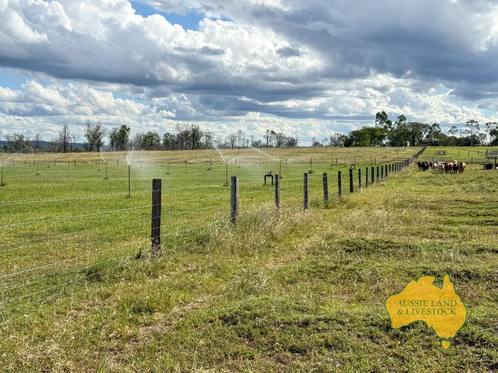 Additional image 29 of 854 MUNDUBBERA-DURONG ROAD, Boynewood QLD 4626