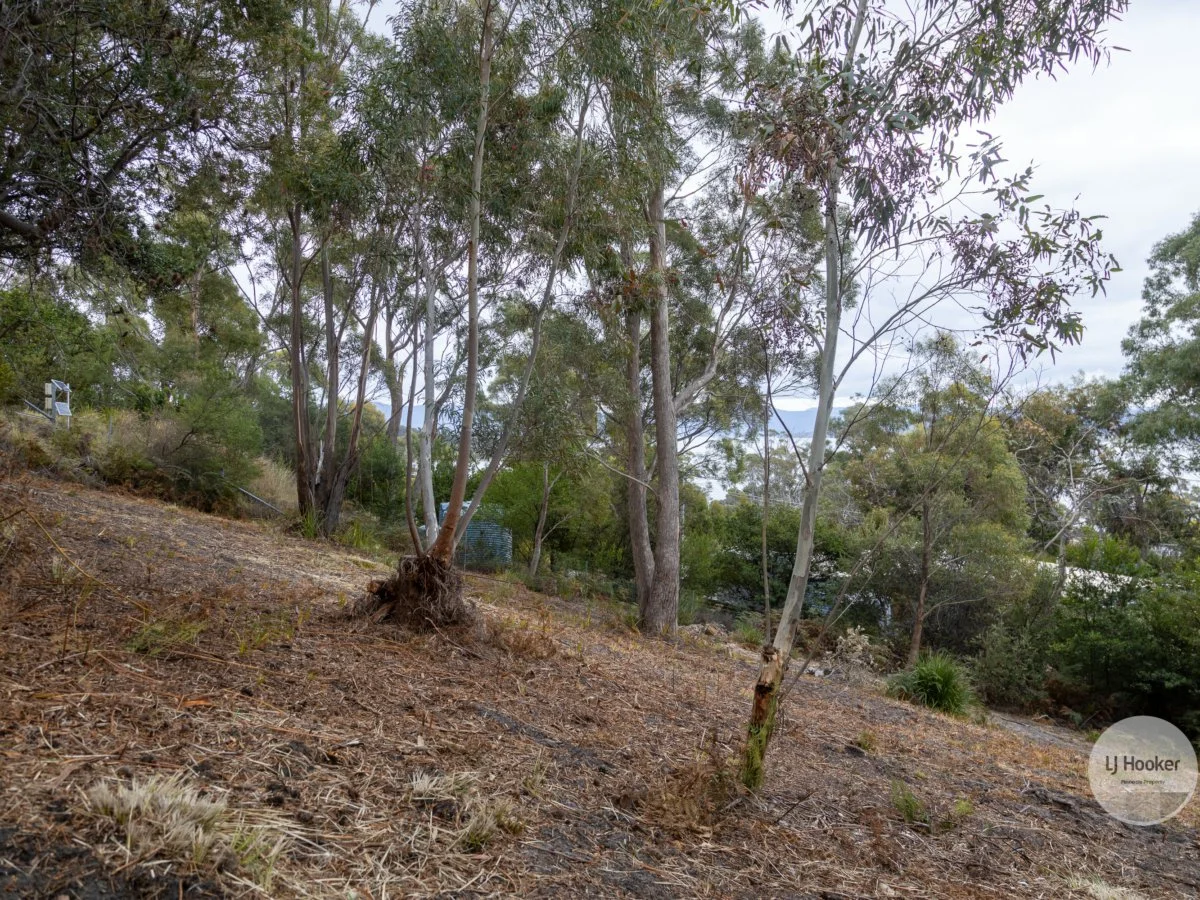 Image 15