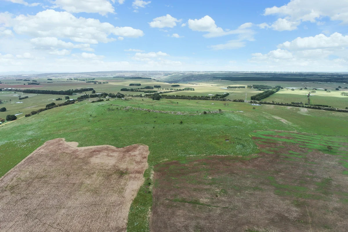 Image 37