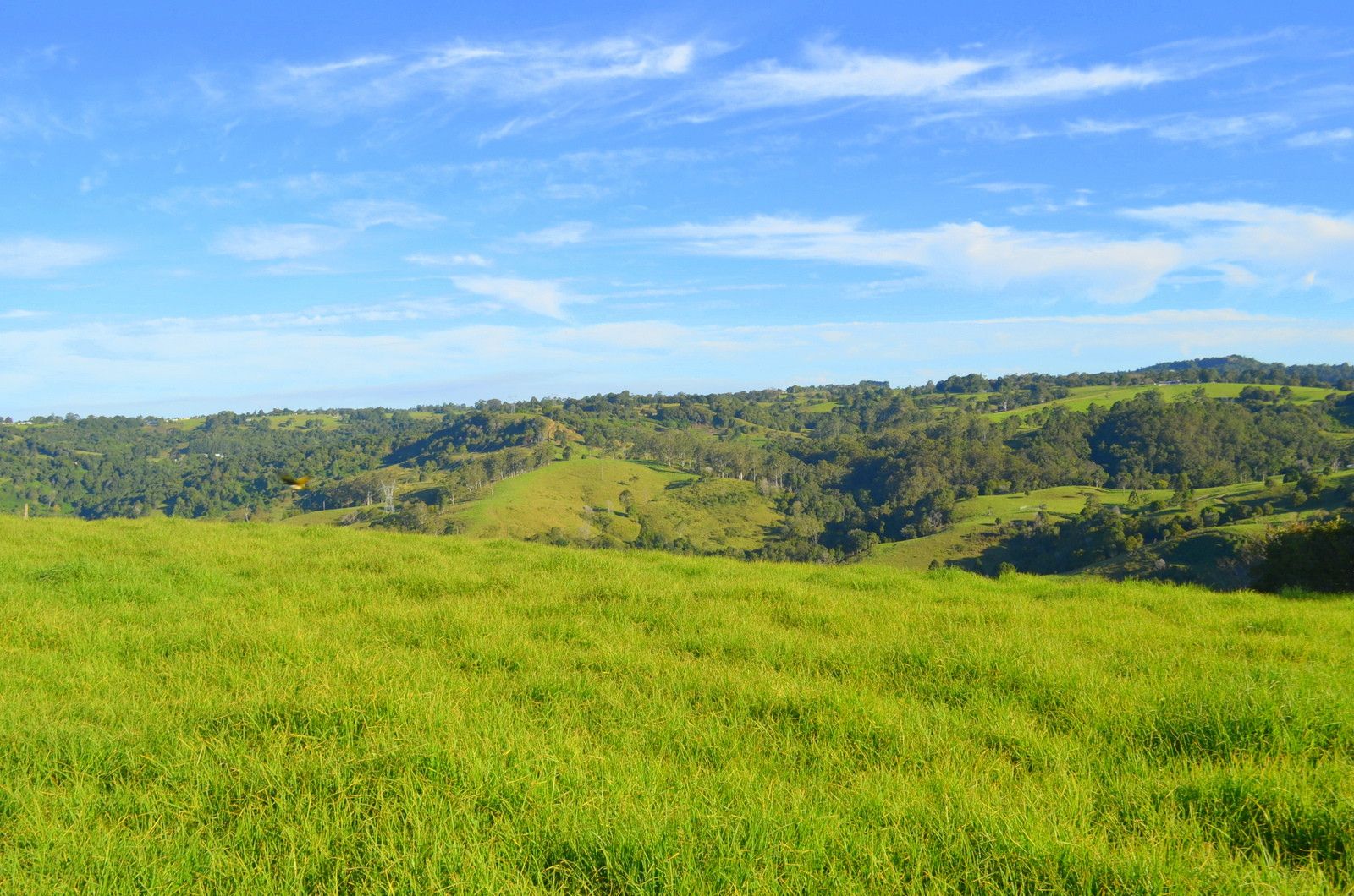 Lot 2 Tesch Road, Maleny QLD 4552, Image 1