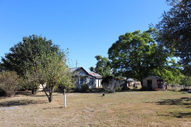 Picture of 733 Upper Whitlow Road, BINGARA NSW 2404