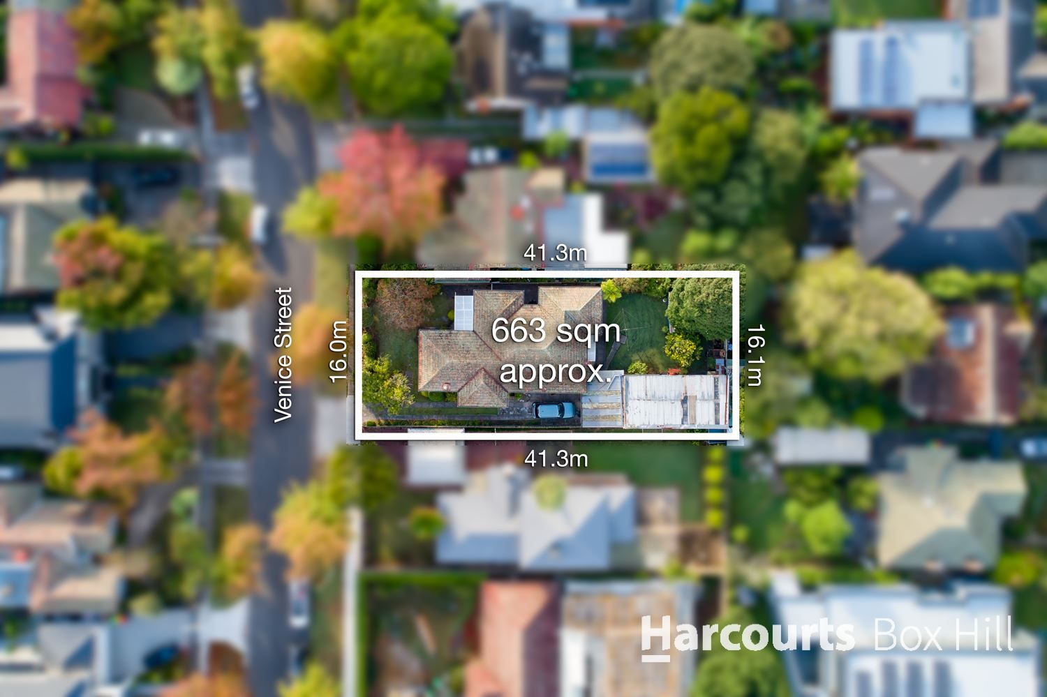 14 Venice Street, Box Hill South VIC 3128, Image 1