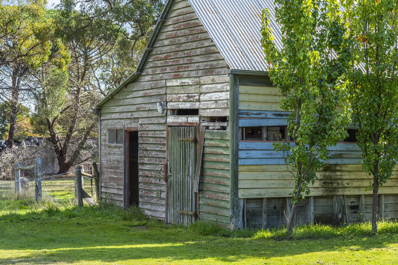 Image 19