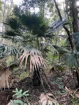 Image 13