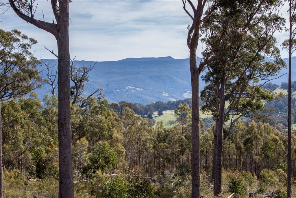 106 Vinces Saddle Road, Lower Longley TAS 7109, Image 1