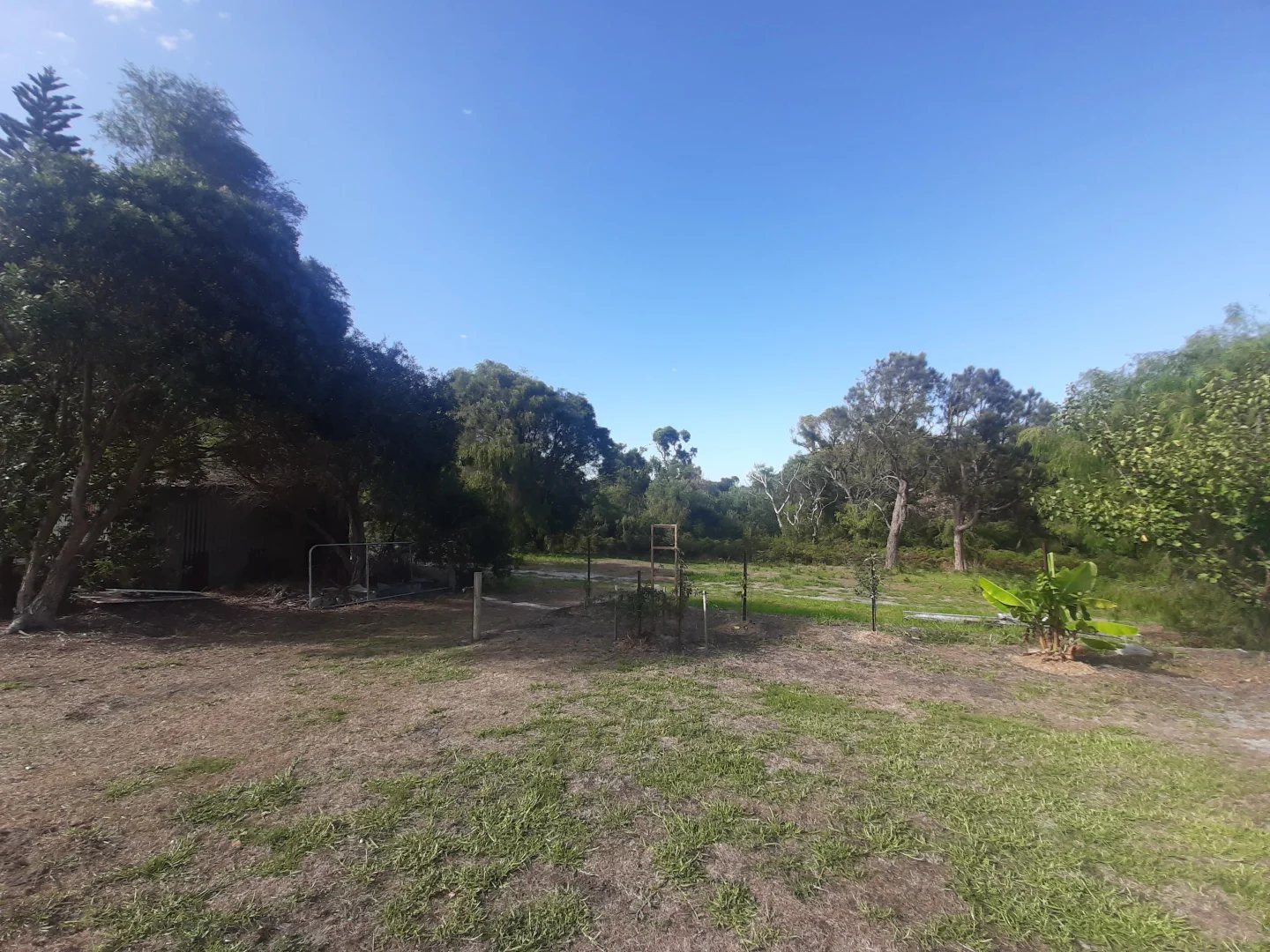 Image 12