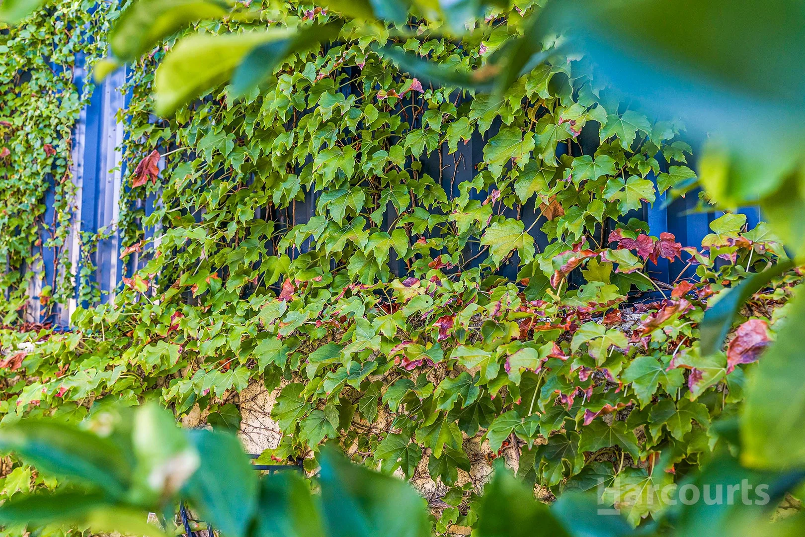 Additional image 31 of 23 Cabernet Loop, Pearsall WA 6065