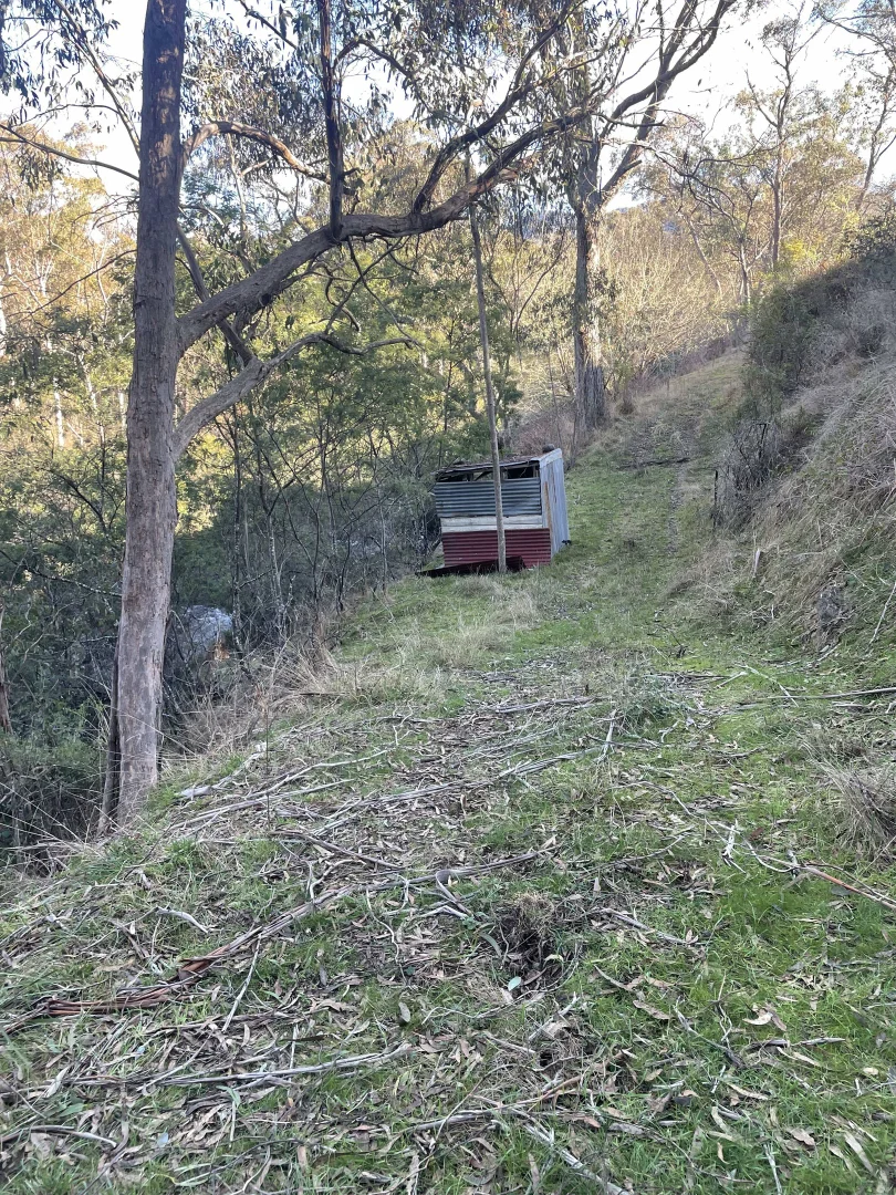 Image 25