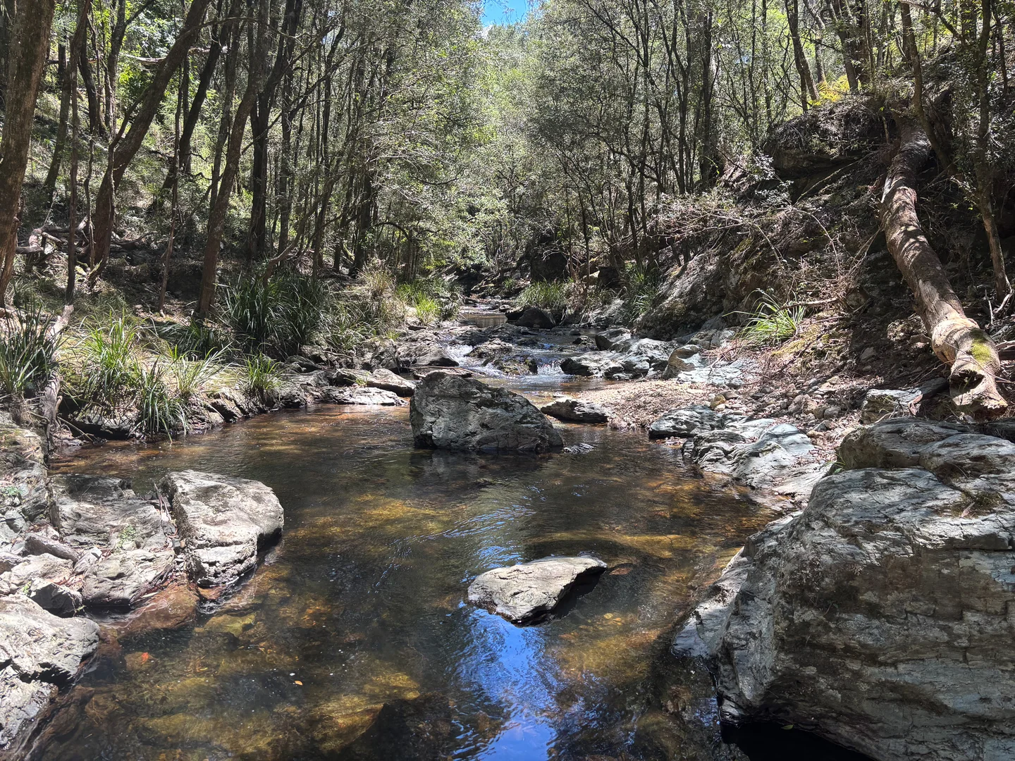 Additional image 10 of 83 Eaglehawk Trail, Yarrowitch NSW 2354