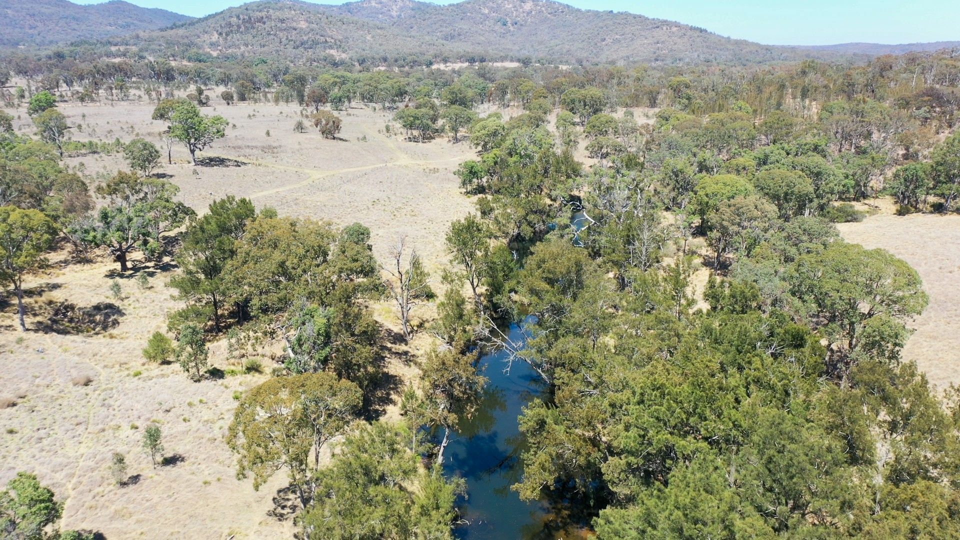 49 Sawyers Gully Road, Tenterfield NSW 2372 House for Sale Domain