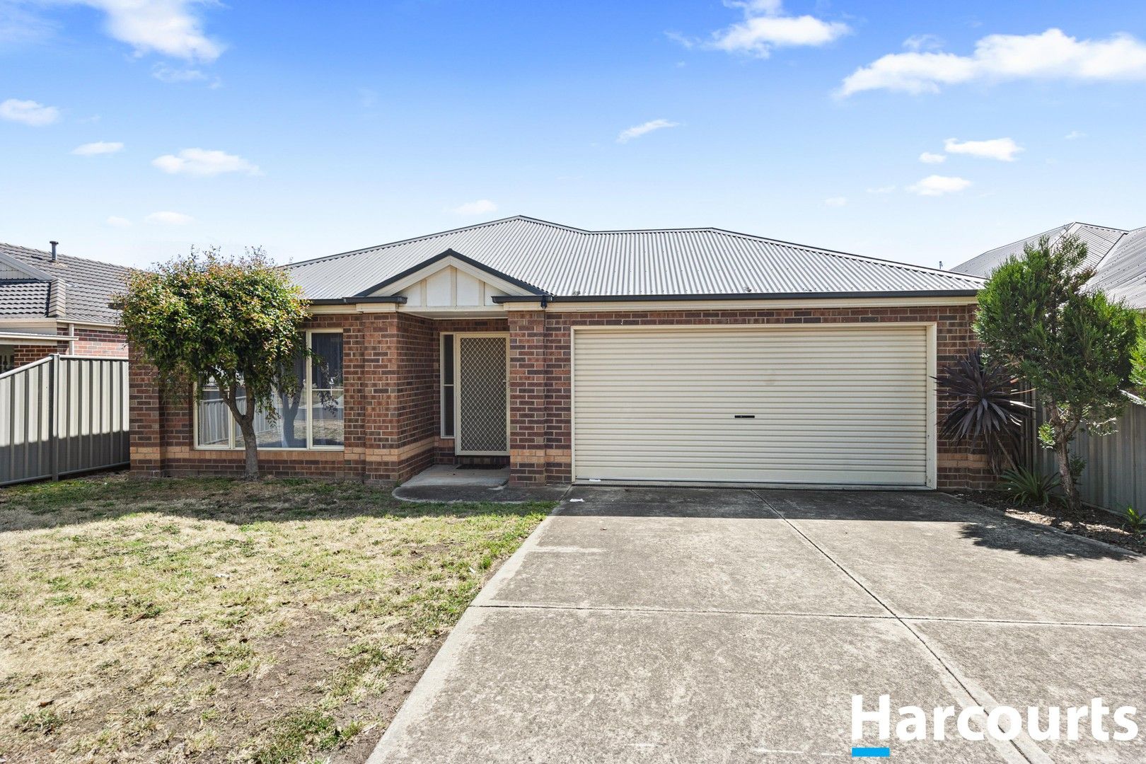 11 Clifton Street, VIC 3356 House For Rent Domain