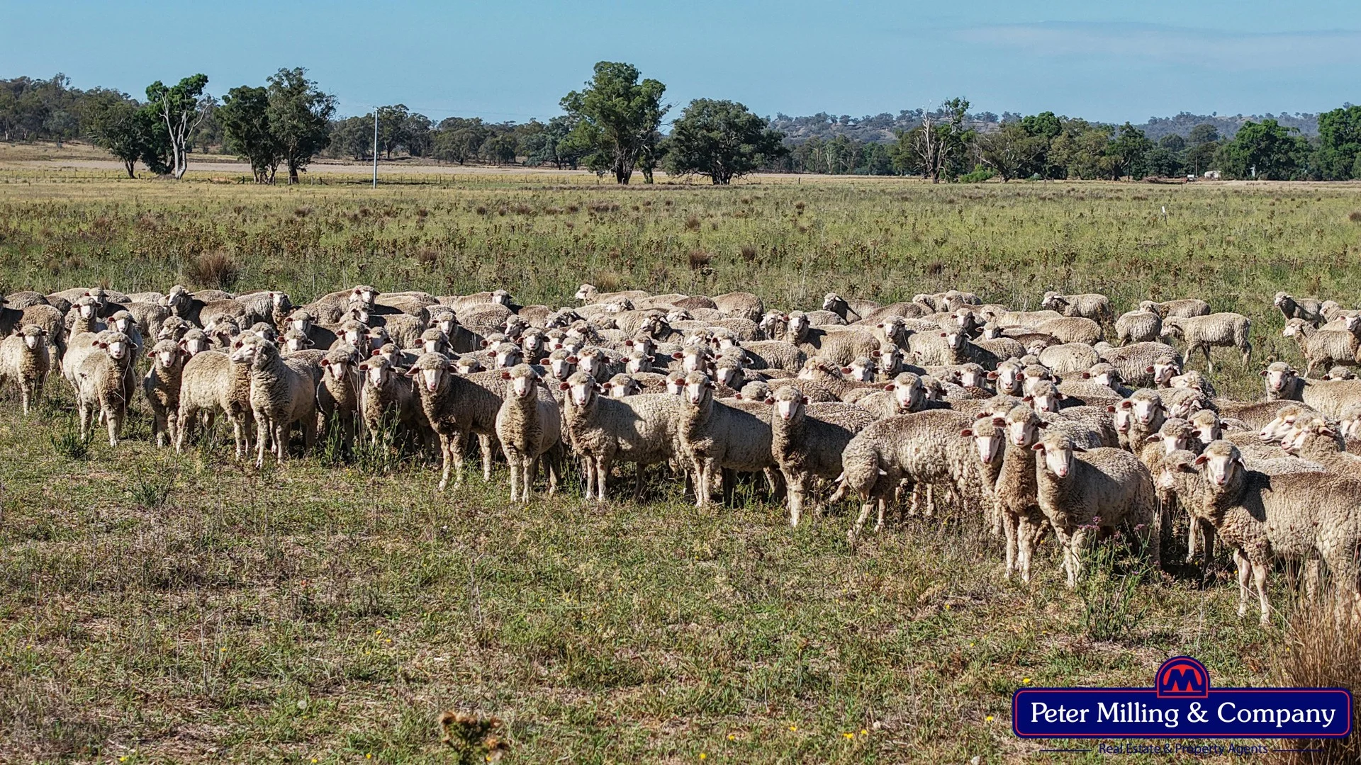 162 Gollan Road, Goolma NSW 2852