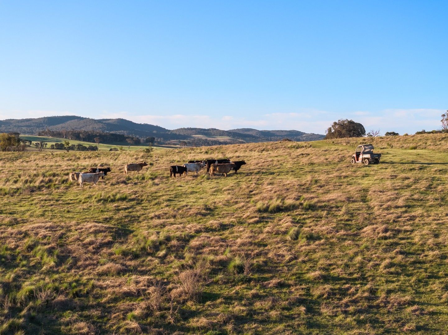 2814 Yass River Road, Yass River NSW 2582 House for Sale Domain