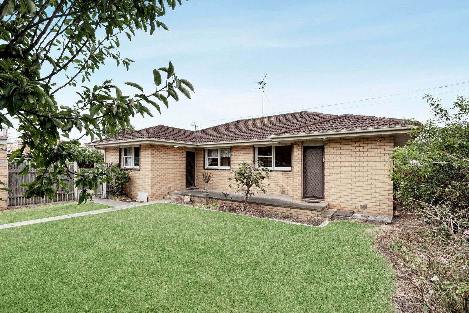 149 Melaluka Road, Leopold VIC 3224, Image 0