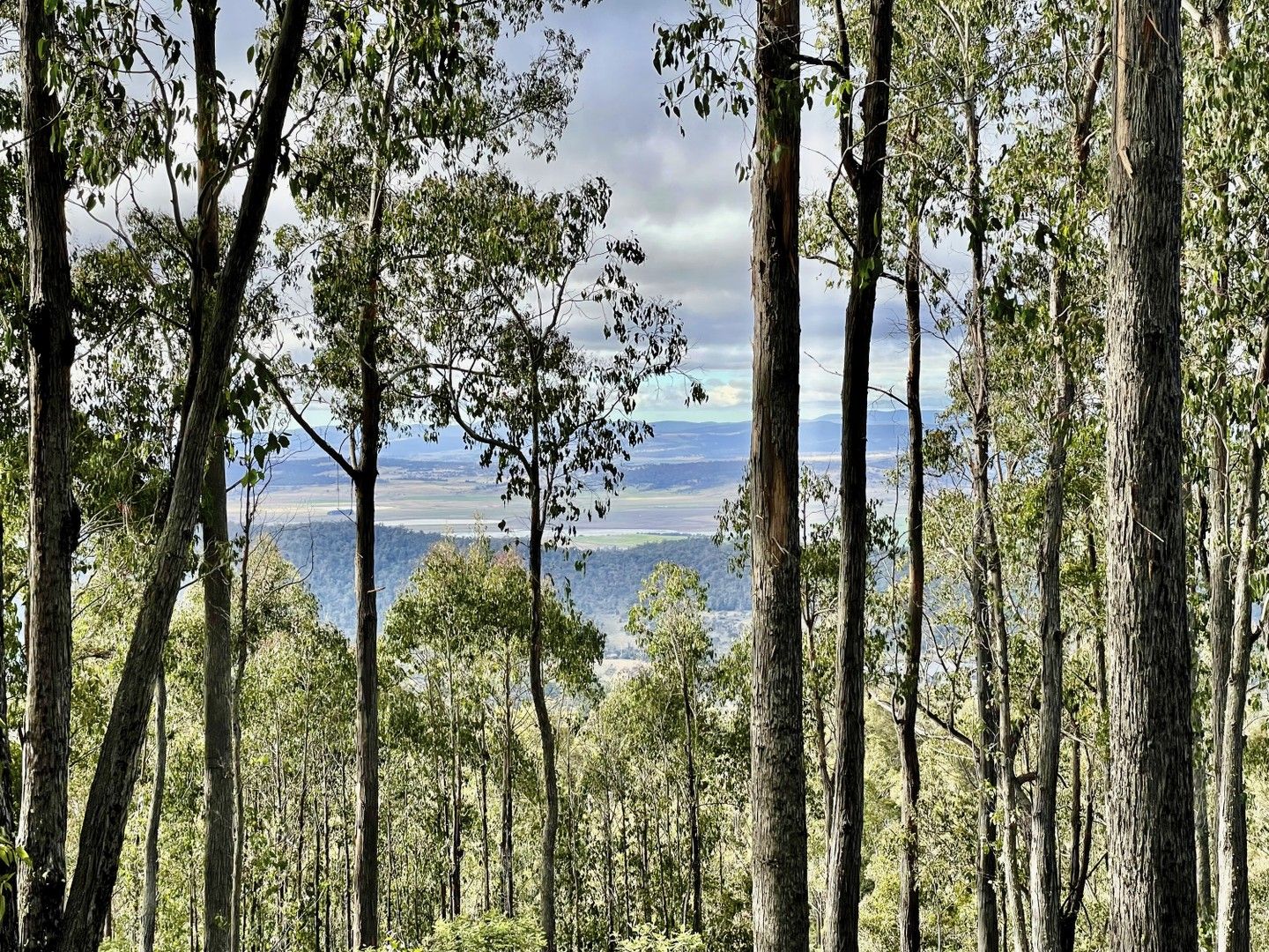 1 Tunbridge Tier Road, Tunbridge TAS 7120 Vacant Land for Sale