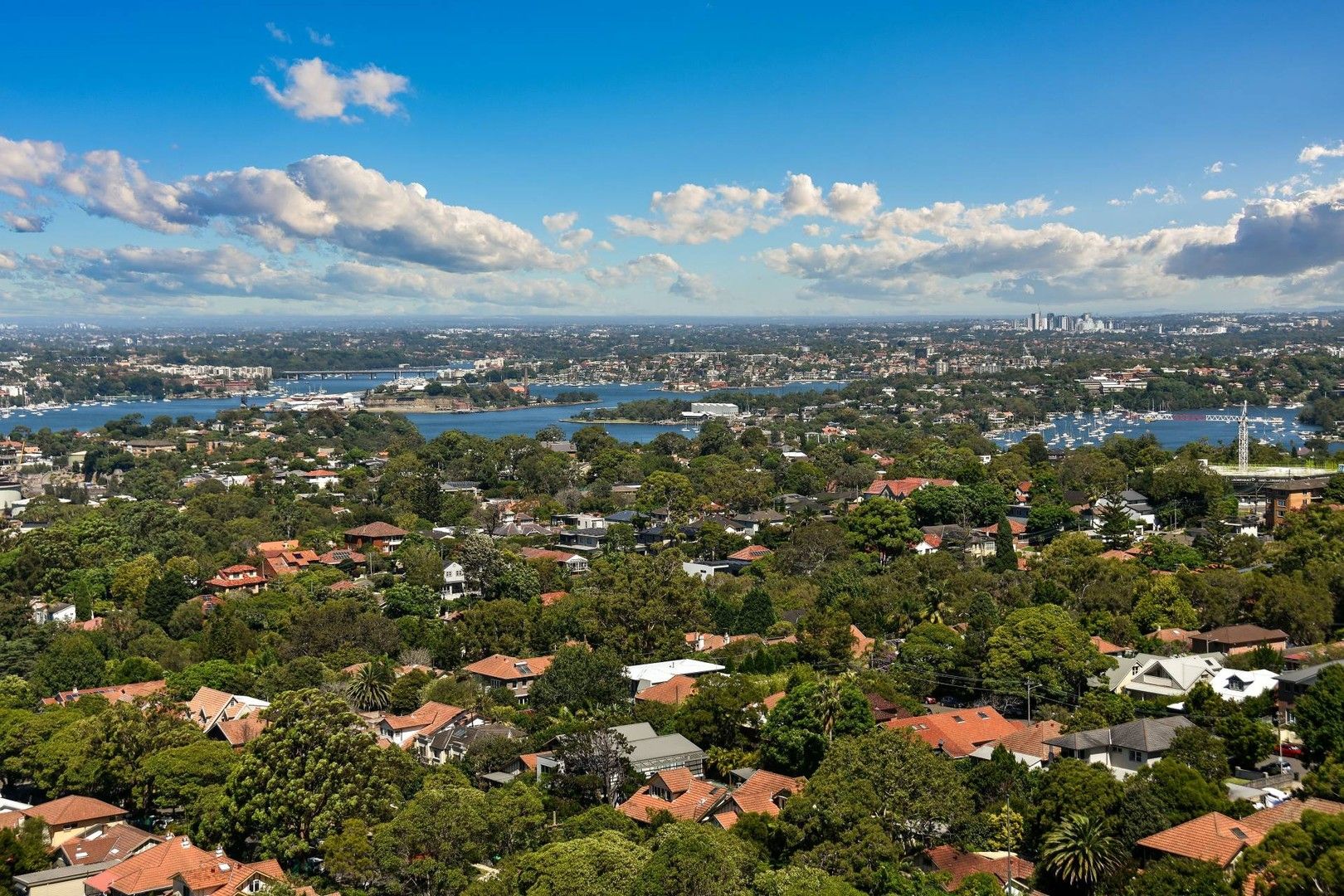 1 bedrooms Apartment / Unit / Flat in 1603/88B Christie Street ST LEONARDS NSW, 2065