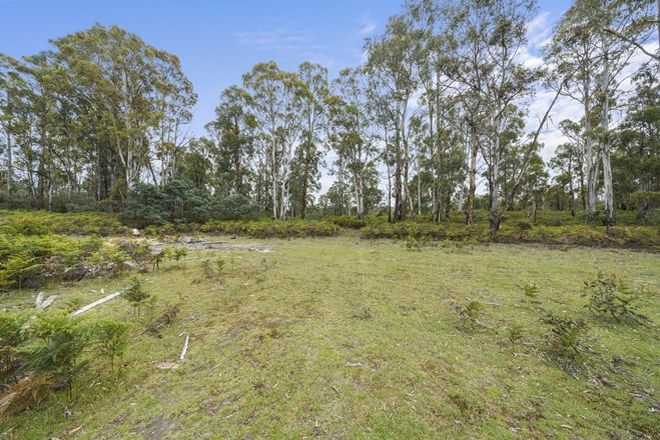 Picture of 180 Pearces Road, STRICKLAND TAS 7140