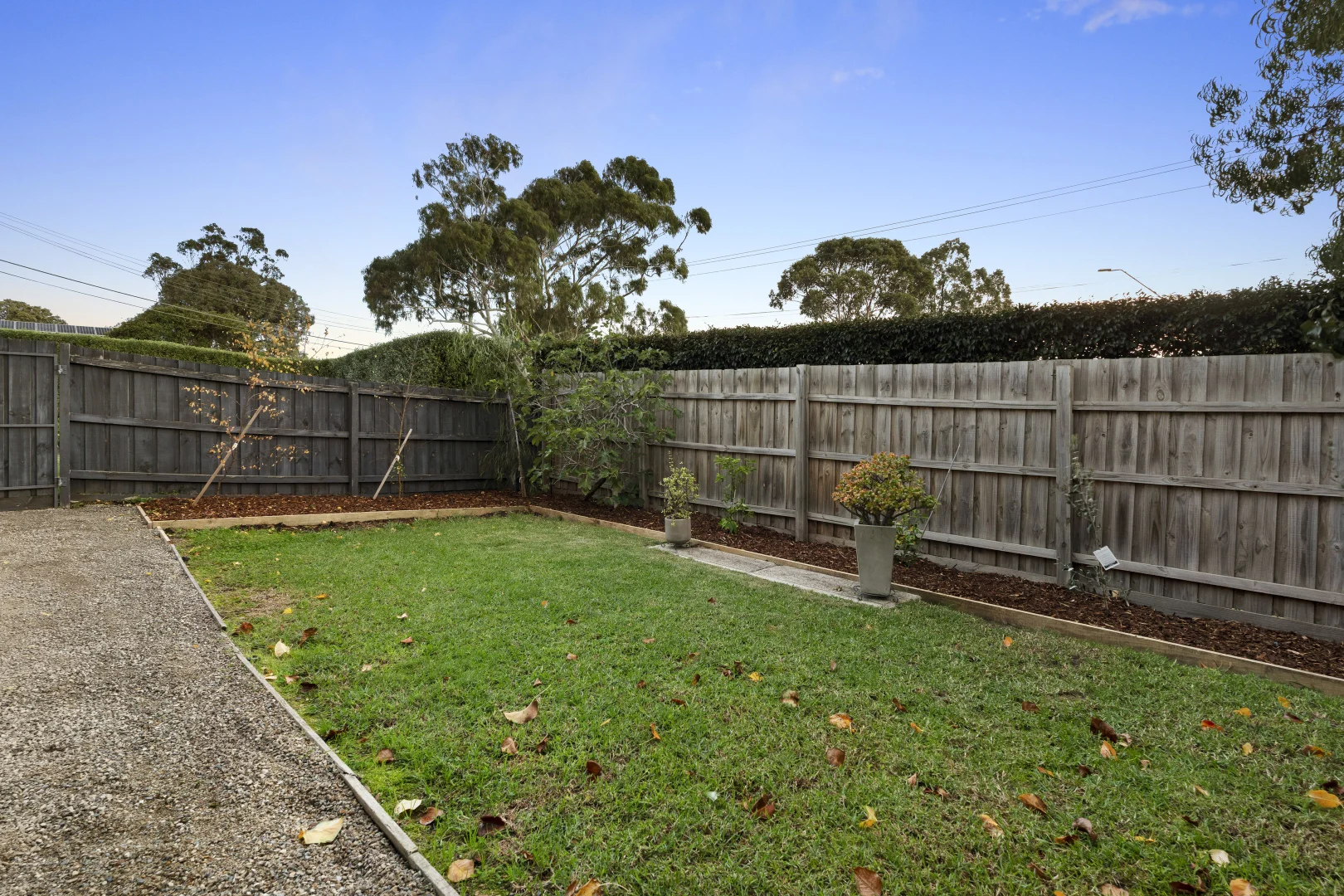 Image 15