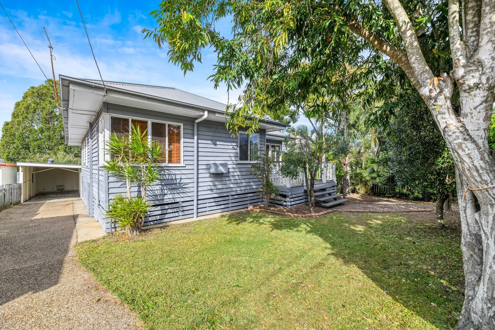 15 Chesney Street, Carina QLD 4152 House For Rent Domain