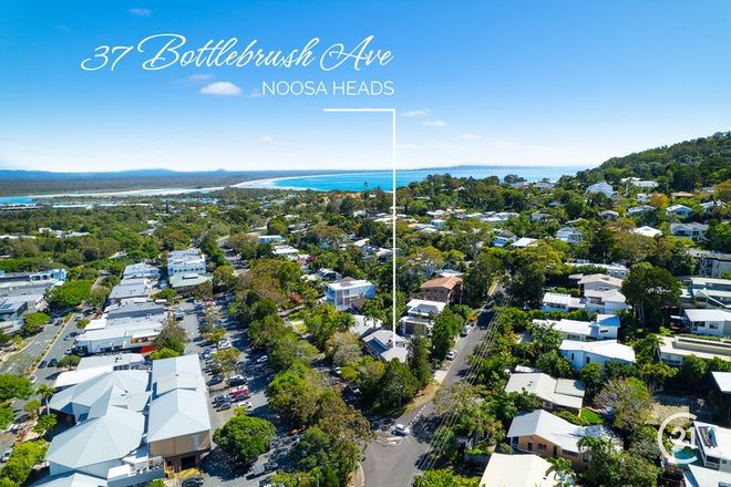 Picture of 37 Bottlebrush Avenue, NOOSA HEADS QLD 4567