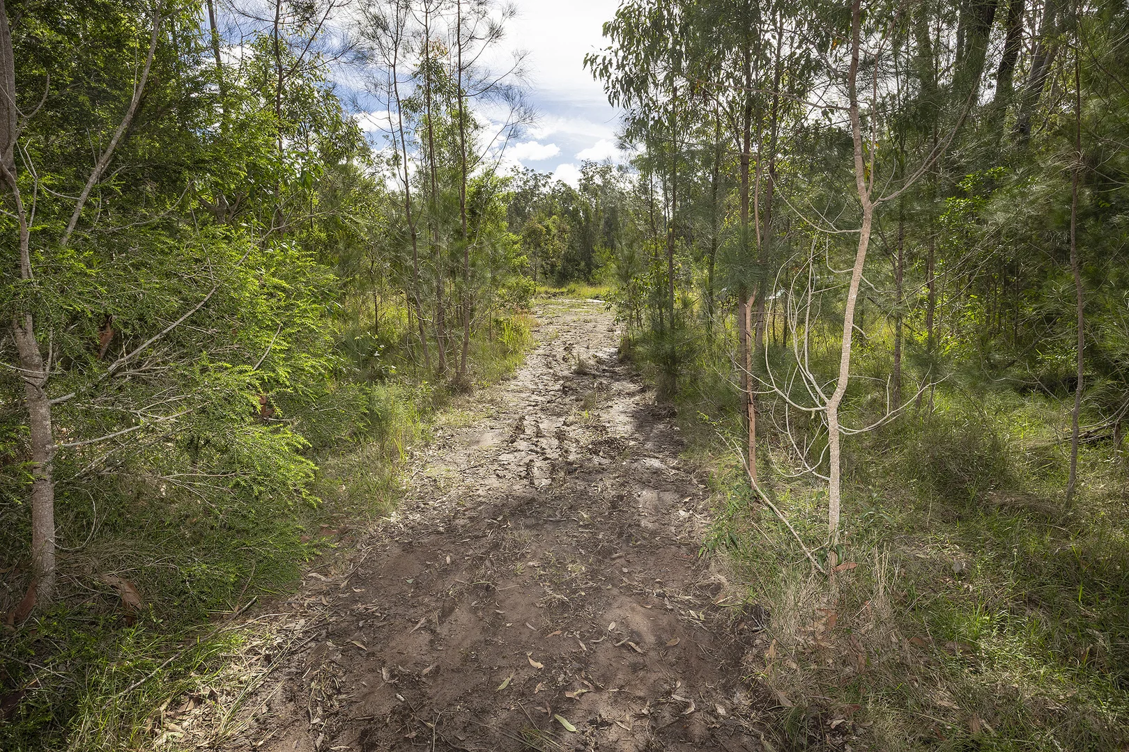 Image 21