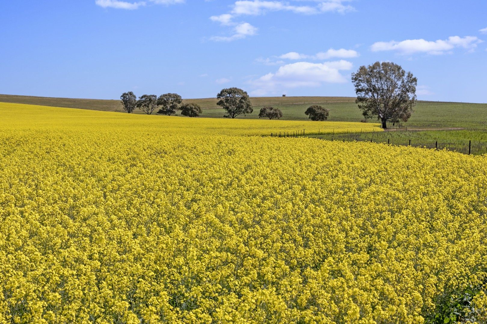 'Nankivells' - 132 Koonoona Road, Burra SA 5417, Image 0