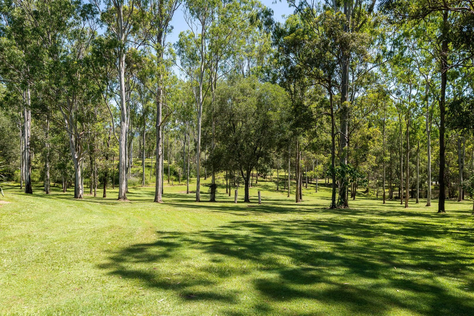 155 Camp Mountain Road, Camp Mountain QLD 4520, Image 2