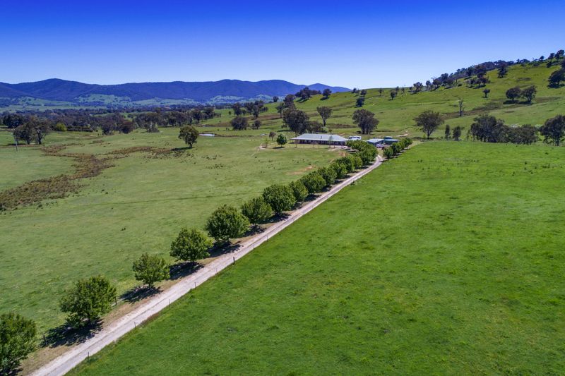 219 Tomkins Lane, Allans Flat Property History & Address Research