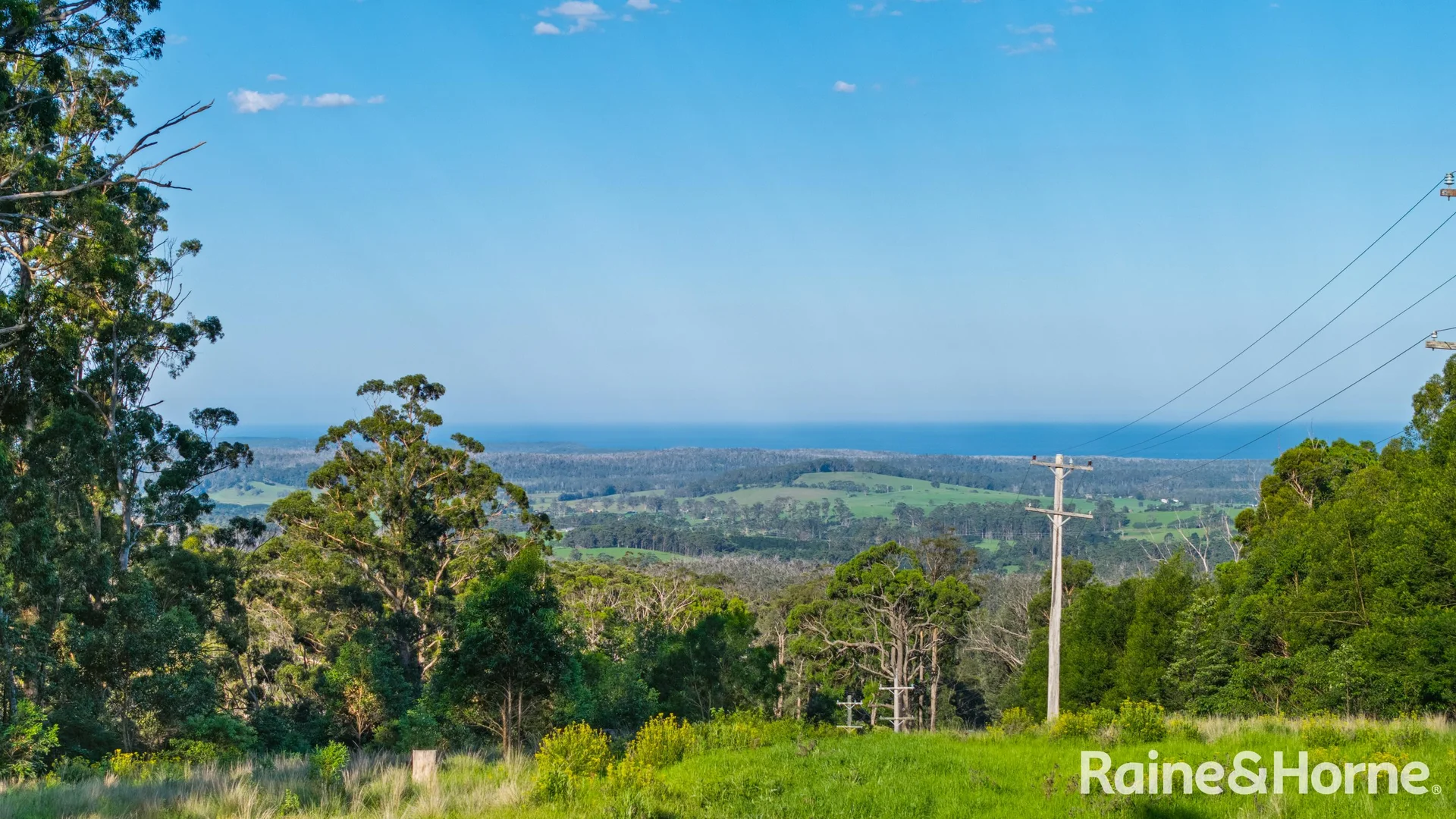 Additional image 23 of 562 Little Forest Road, Little Forest NSW 2538