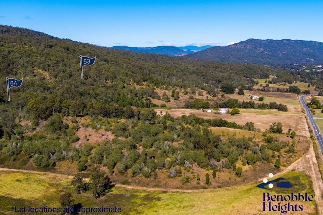 Picture of 53, 2558 Beaudesert-Nerang Road, CANUNGRA QLD 4275