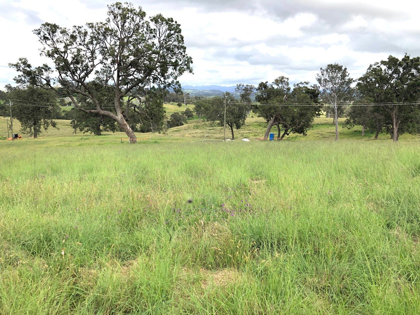 Lot 199 Spanish Oaks Drive, Bega NSW 2550, Image 0