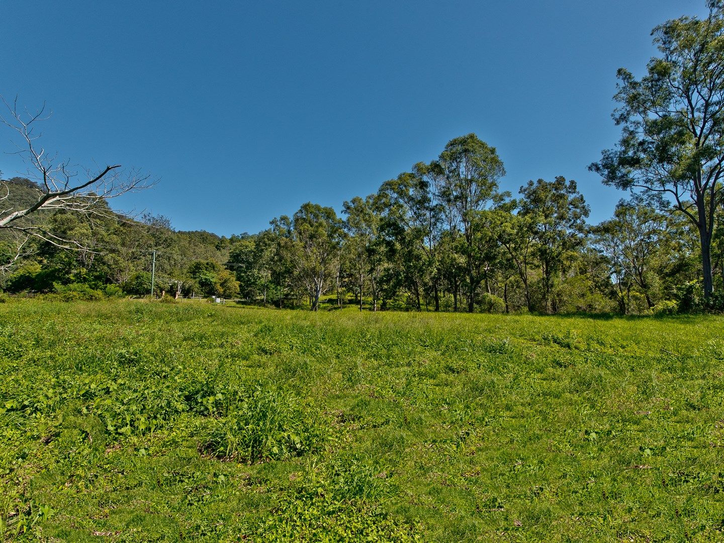 Lot 5, 217 Hulcombe Road, Highvale QLD 4520, Image 0