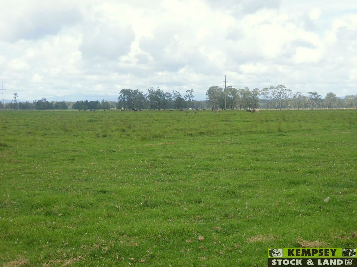 Bellimbopinni NSW 2440, Image 2