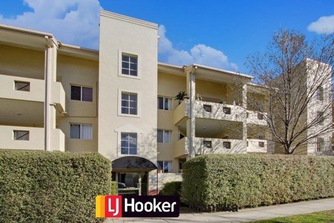 222 2 Bedroom Apartments For Rent In Canberra Act Domain