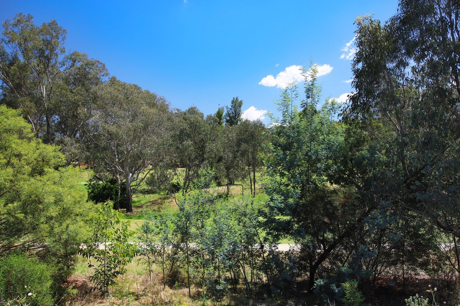 56 Woolshed Drive, Thurgoona NSW 2640, Image 2