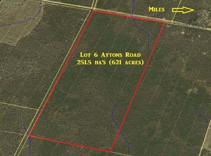 621 Acres - Lot 6 Aytons Road, Miles QLD 4415, Image 2