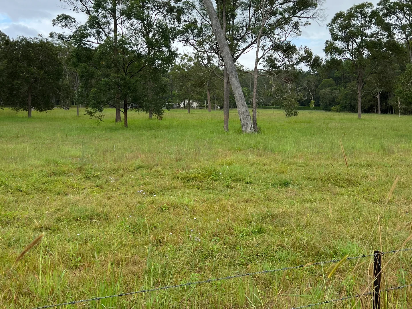 Image 15
