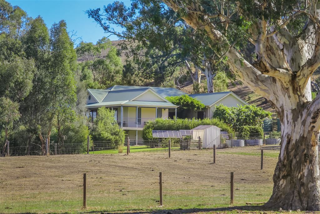 31 Norsworthy Road, Forreston SA 5233, Image 2