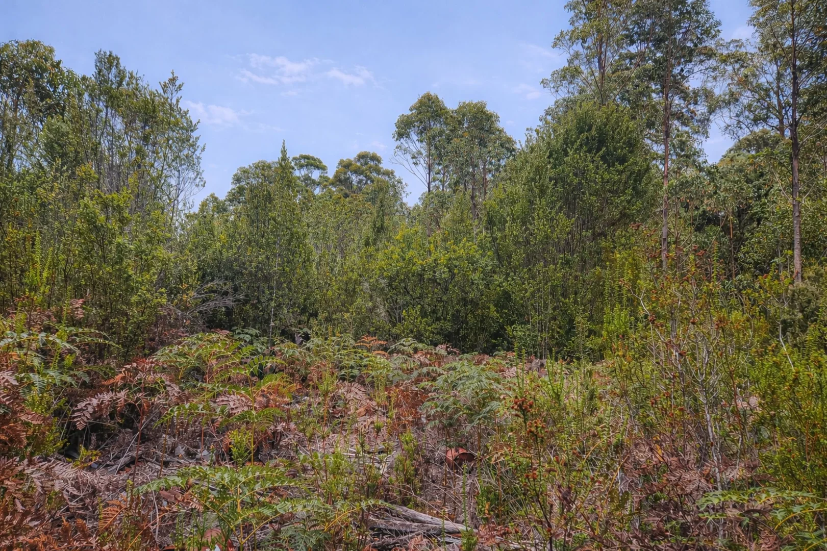 Additional image 7 of 1 Link Road, Lonnavale TAS 7109