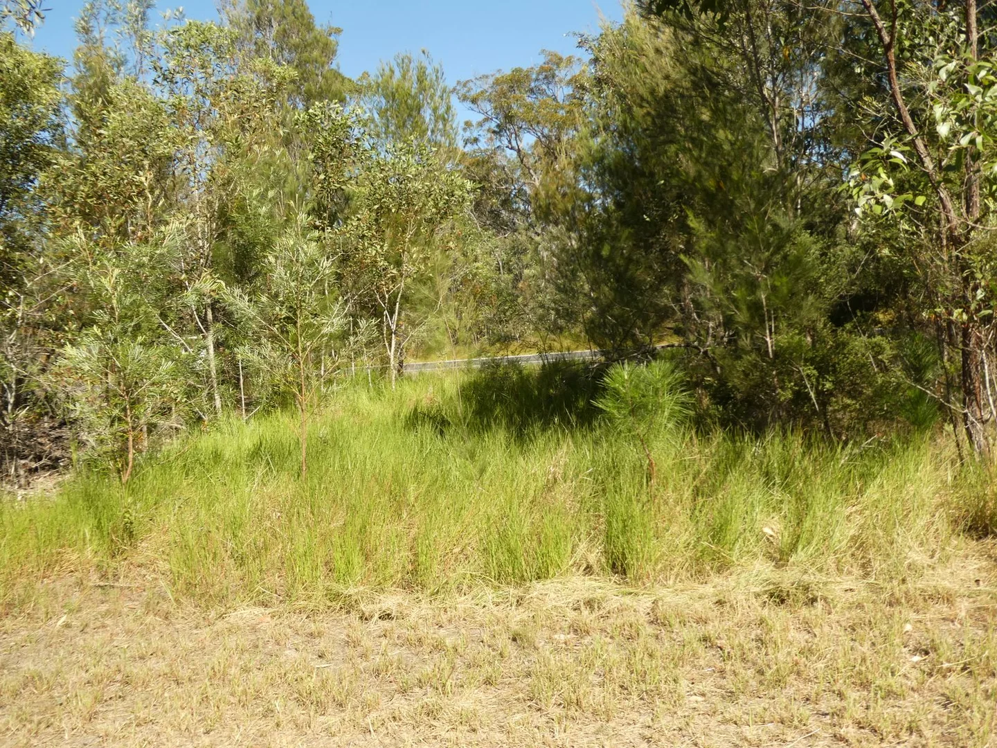 Image 14