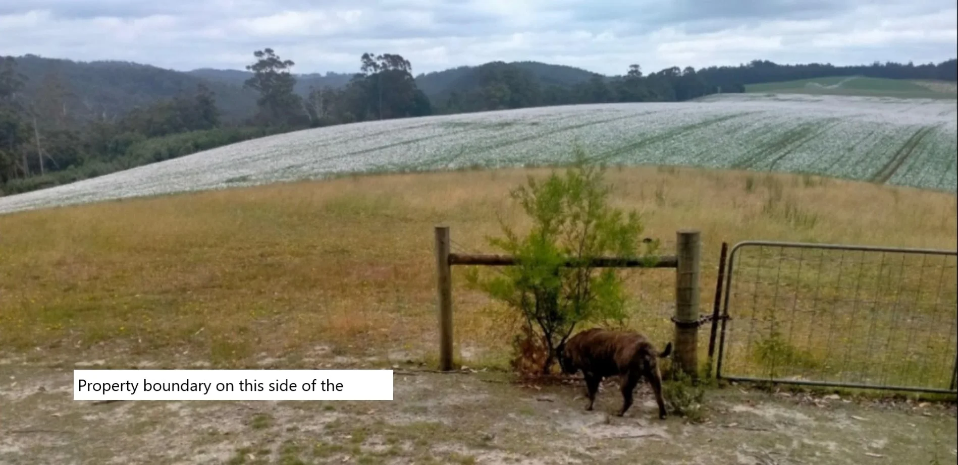 Additional image 16 of Somerset TAS 7322