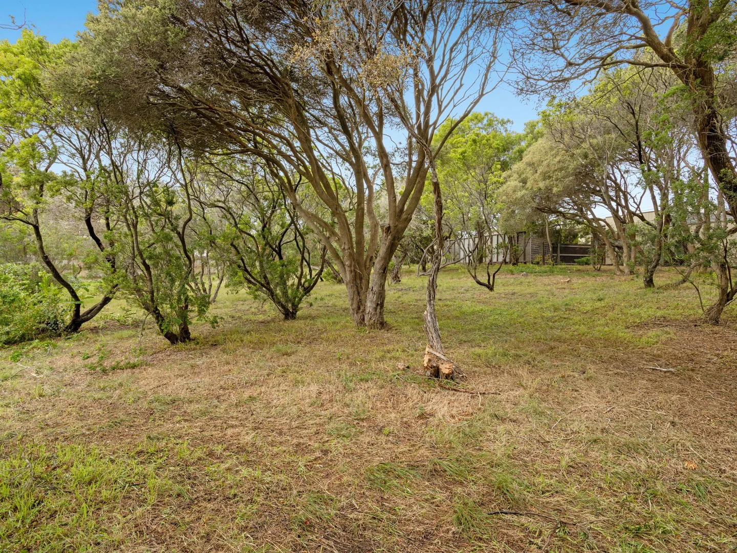 Additional image 11 of 3 Lillian Street, Rye VIC 3941