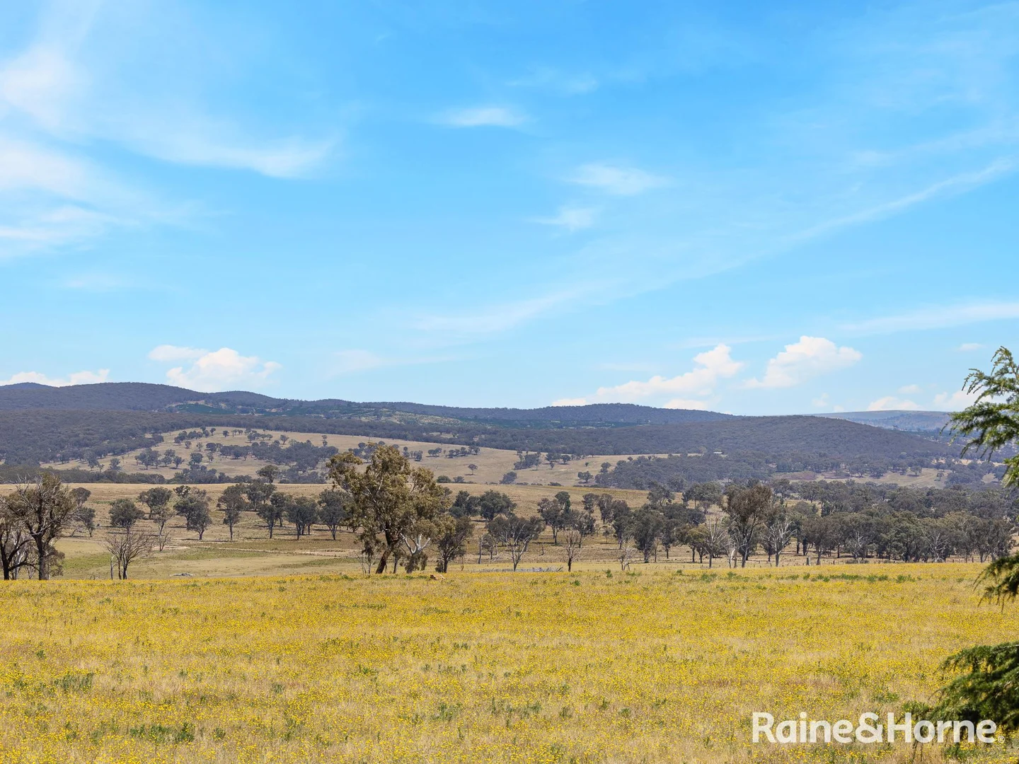 Additional image 9 of 2002 Lagoon Road, The Lagoon NSW 2795