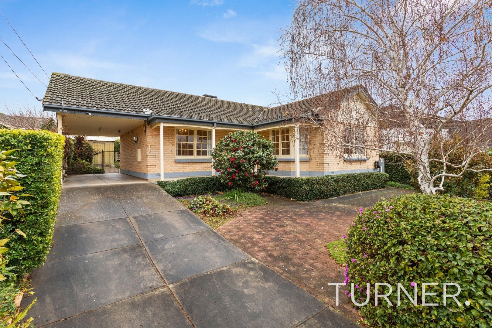 14 Scenic Drive, Windsor Gardens SA 5087, Image 0