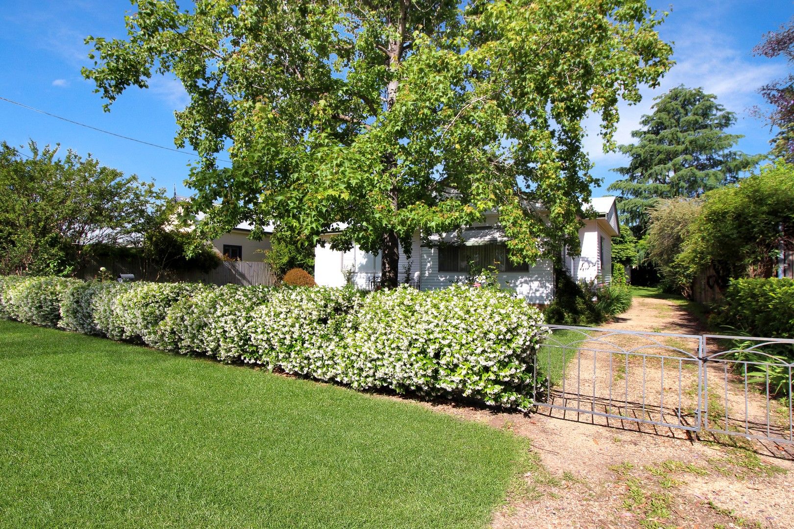 3 bedrooms House in 44 Waverley St SCONE NSW, 2337