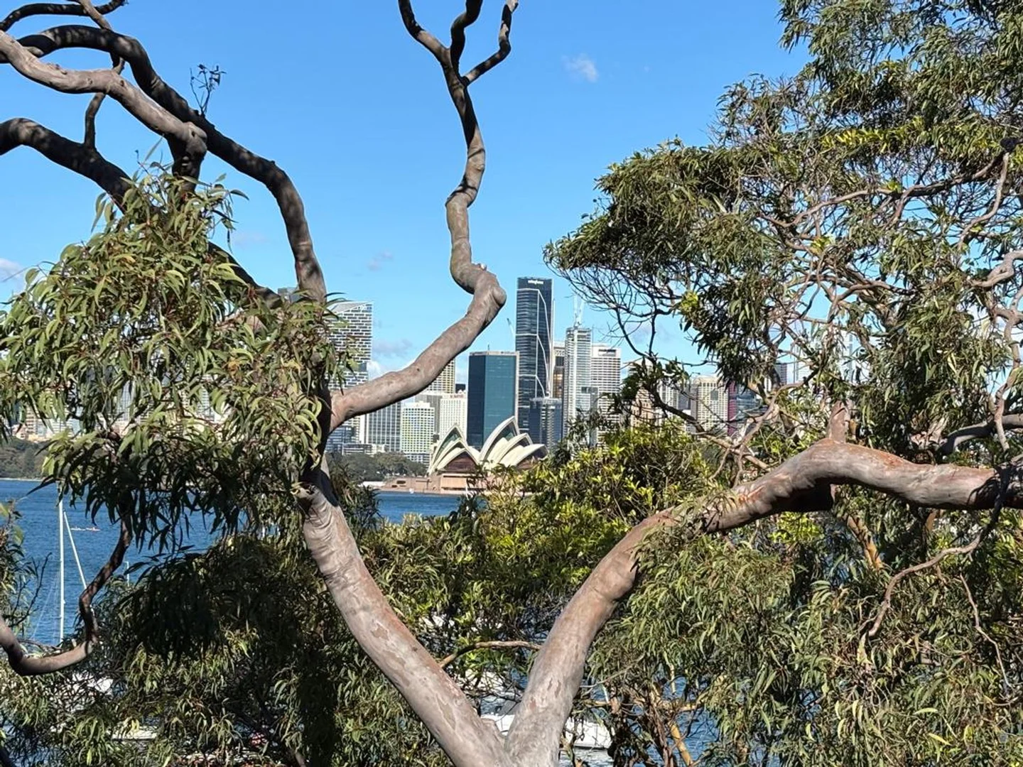 Additional image 5 of 4/34 Milson Rd, Cremorne Point NSW 2090