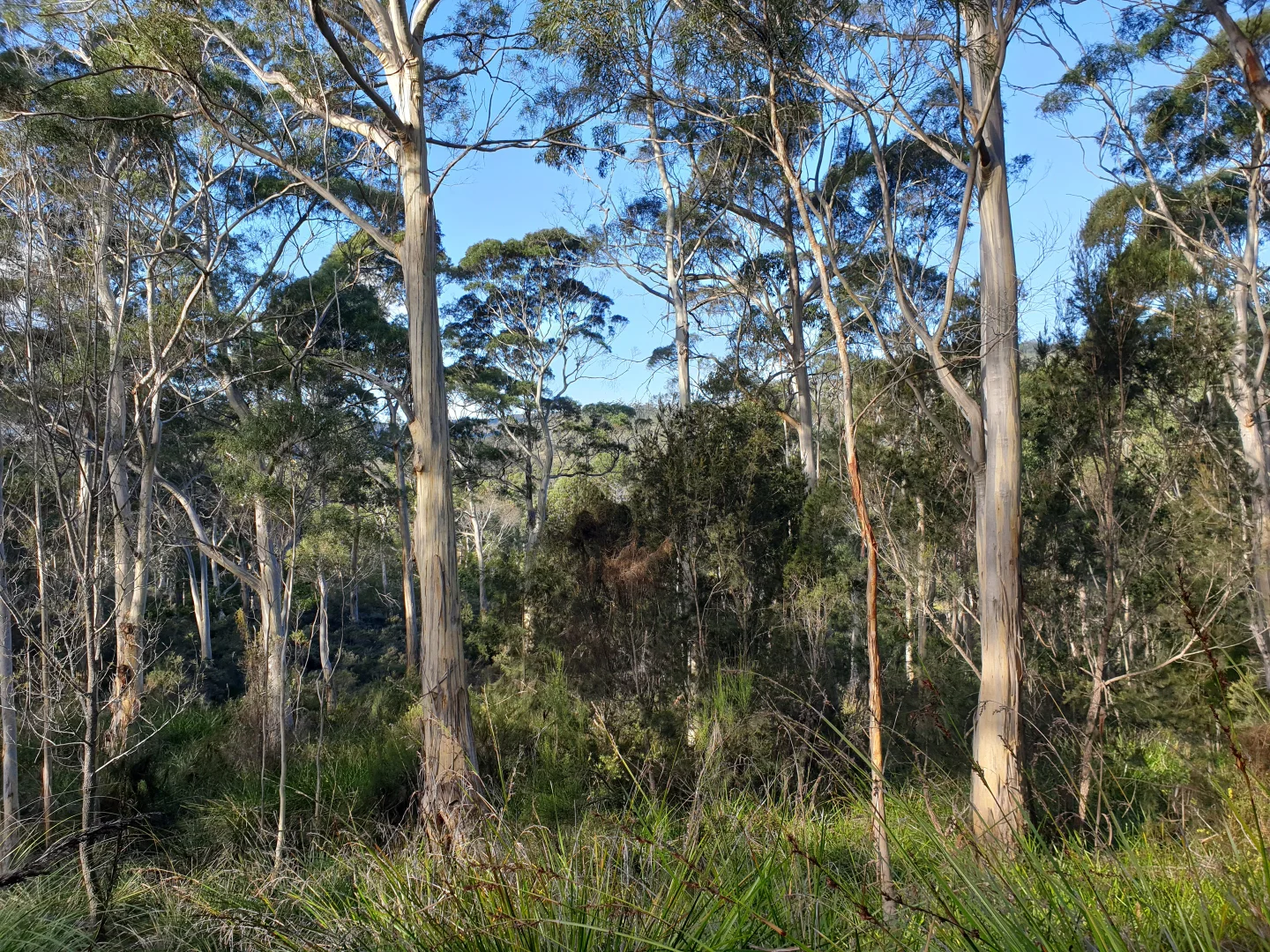 Image 7