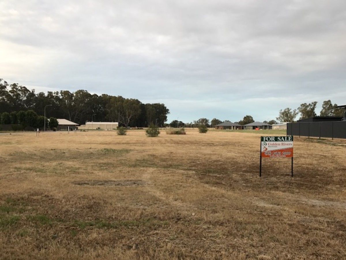 Lot 99 TEDDYS Lane, Barham NSW 2732, Image 0