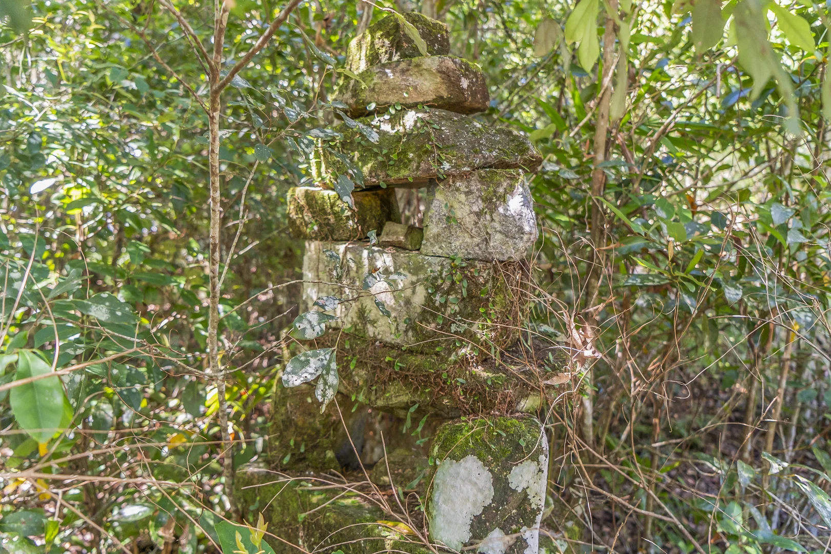 Additional image 8 of 385 Bellthorpe West Road, Bellthorpe QLD 4514